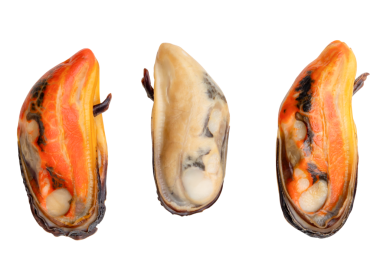 Kırmızı ve krema etli üç pişmiş yeşil midye seti png dosya biçiminde kırpma yolu ile izole edilir.