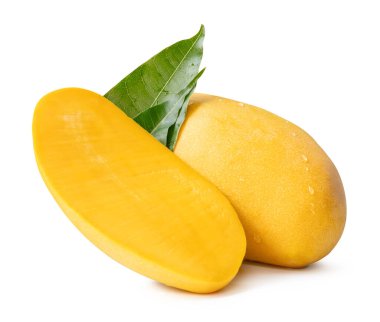 Tek olgun sarı mango ve yarısı yeşil yapraklı ve su damlacıkları beyaz arka planda kırpma yolu ile izole edilir..