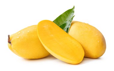İki olgun sarı mango meyvesi ve mango yarısı yeşil yapraklı ve su damlacıkları beyaz arka planda kırpma yolu ile izole edilir..