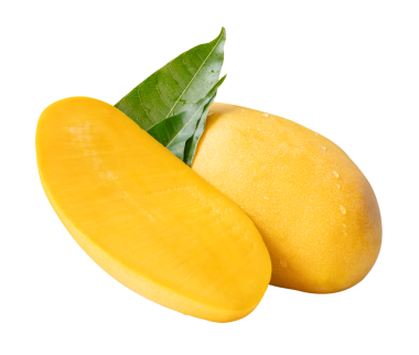 Tek olgun sarı mango ve yarısı yeşil yapraklı ve su damlacıkları png dosya biçiminde kırpma yolu ile izole edilir