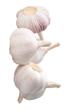 Gruptaki beş sarımsak ampulünün yan görünümü png dosya biçiminde kırpma yolu ile izole edilmiştir.