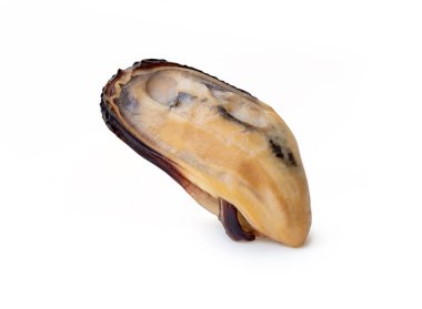 Tek pişmiş yeşil midyelerin yan görünümü beyaz arkaplanda kırpma yolu ile izole edilir.