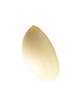 Tek soyulmuş sarımsak karanfil veya parçasının yan görünümü png dosya biçiminde kırpma yolu ile izole edilir.