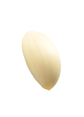 Tek soyulmuş sarımsak karanfil veya parçasının yan görünümü png dosya biçiminde kırpma yolu ile izole edilir.