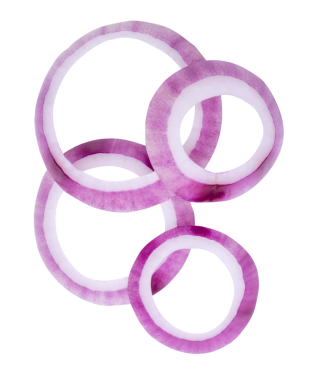 Taze kırmızı ya da mor soğan halkalarının ya da yığın içindeki dilimlerin üst görünümü png dosya biçiminde kırpma yolu ile izole edilir.