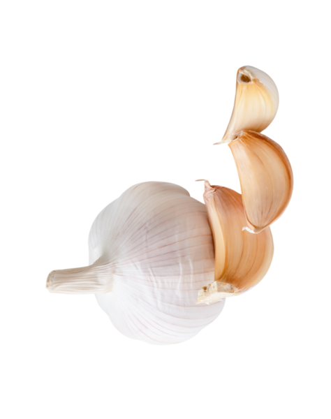 Bir ampulün ve soyulmamış üç sarımsak karanfil veya parçasının yan görünümü png dosya biçiminde kırpma yolu ile izole edilmiştir.