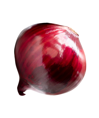 Kırmızı veya mor soğan ampulünün üst görünümü png dosya biçiminde kırpma yolu ile izole edilir.