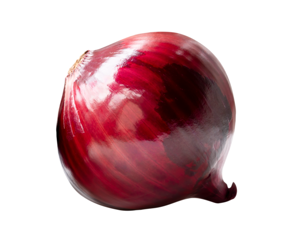 Kırmızı veya mor soğan ampulünün üst görünümü png dosya biçiminde kırpma yolu ile izole edilir.