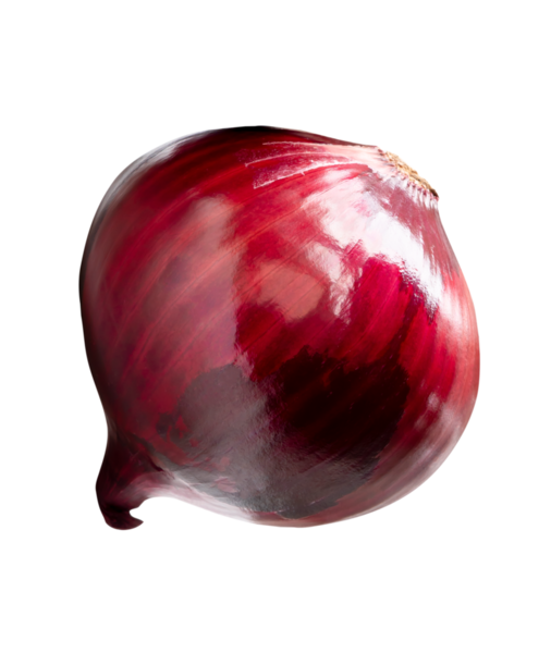 Kırmızı veya mor soğan ampulünün üst görünümü png dosya biçiminde kırpma yolu ile izole edilir.