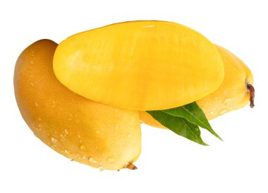 İki olgun sarı mango meyvesi ve yarısı yeşil yapraklı ve su damlacıkları beyaz arka planda kırpma yolu ile izole edilir..
