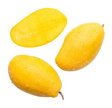 Yarısı ve su damlacıkları ile iki olgun sarı mango seti beyaz arka planda kırpma yolu ile izole edilir.