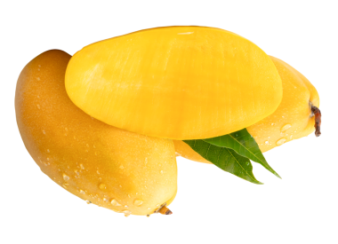 İki olgun sarı mango meyvesi ve yarısı yeşil yapraklı ve su damlacıkları png dosya biçiminde kırpma yolu ile izole edilir.