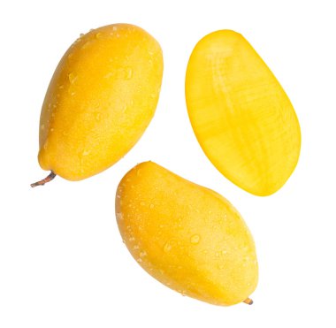 Yarısı ve su damlacıkları ile iki olgun sarı mango seti beyaz arka planda kırpma yolu ile izole edilir.