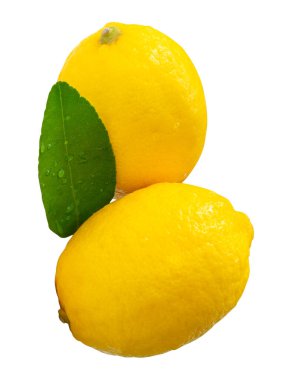 Yeşil limon yaprağı ve su damlacıkları ile iki taze olgun limon meyvesi yan görünümü kırpma yolu ile beyaz arka planda izole edilir.