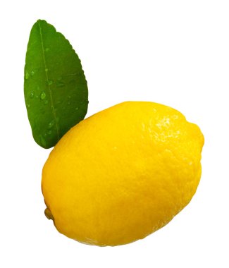 Yeşil limon yaprağı ve su damlacıkları ile tek taze olgun limon meyvesi yan görünümü kırpma yolu ile beyaz arka planda izole edilir.