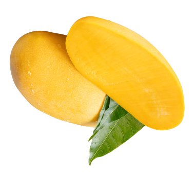 Tek olgun sarı mango meyvesi ve yarısı yeşil yapraklı ve su damlacıkları beyaz arka planda kırpma yolu ile izole edilir..