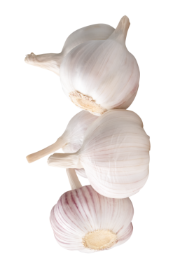 Gruptaki beş sarımsak ampulünün yan görünümü png dosya biçiminde kırpma yolu ile izole edilmiştir.