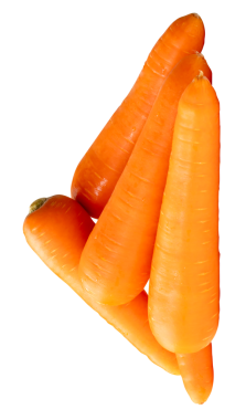 Yığının içindeki beş taze turuncu havuç kökü yan görünümü png dosya biçiminde kırpma yolu ile izole edilmiştir.