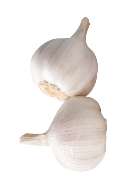 Yığındaki iki sarımsak ampulünün yan görünümü png dosya biçiminde kırpma yolu ile izole edilmiştir.