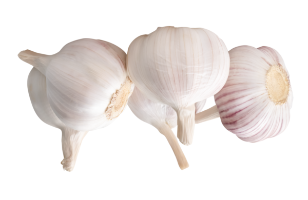 Gruptaki beş sarımsak ampulünün yan görünümü png dosya biçiminde kırpma yolu ile izole edilmiştir.