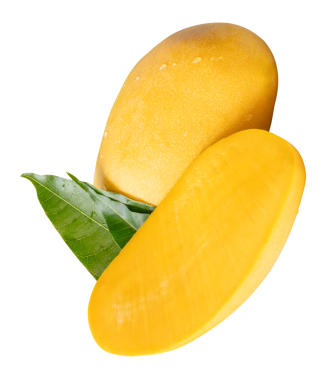 Tek olgun sarı mango ve yarısı yeşil yapraklı ve su damlacıkları png dosya biçiminde kırpma yolu ile izole edilir