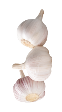 Yığındaki üç sarımsak ampulünün yan görünümü png dosya biçiminde kırpma yolu ile izole edilmiştir.