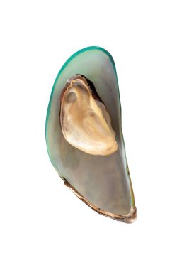 Tek pişmiş veya buğulanmış yeşil midyelerin üst görünümü kırpma yolu ile beyaz arkaplanda izole edilir.