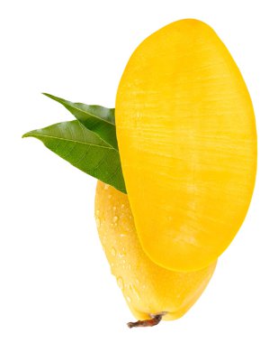 Tek olgun sarı mango ve yarısı yeşil yapraklı ve su damlacıkları beyaz arka planda kırpma yolu ile izole edilir..