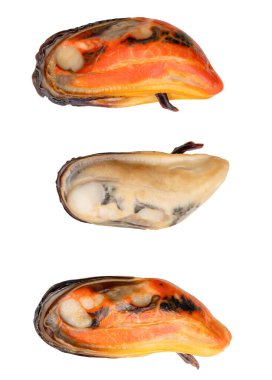 Kırmızı ve krema etli üç pişmiş yeşil midye seti beyaz arka planda kırpma yolu ile izole edilir.