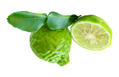 Yeşil bergamot meyveleri veya yarım ve yeşil yapraklı kaffir limonu yan görünümü png dosya biçiminde kırpma yolu ile izole edilmiştir.