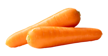 Yığındaki iki taze turuncu havuç kökünün yan görünümü png dosya biçiminde kırpma yolu ile izole edilmiştir.