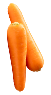 Yığındaki iki taze turuncu havuç kökünün yan görünümü png dosya biçiminde kırpma yolu ile izole edilmiştir.