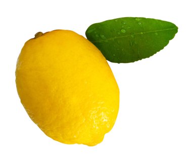 Yeşil limon yaprağı ve su damlacıkları ile tek taze olgun limon meyvesi yan görünümü kırpma yolu ile beyaz arka planda izole edilir.