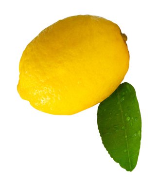 Yeşil limon yaprağı ve su damlacıkları ile tek taze olgun limon meyvesi yan görünümü kırpma yolu ile beyaz arka planda izole edilir.