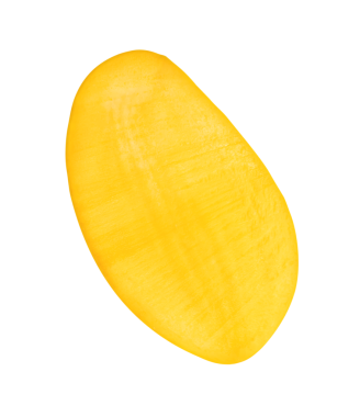 Olgun sarı mango meyvesinin yarısı png dosya biçiminde kırpma yolu ile izole edilir.
