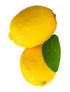 Yeşil limon yaprağı ve su damlacıkları ile iki taze olgun limon meyvesi yan görünümü kırpma yolu ile beyaz arka planda izole edilir.