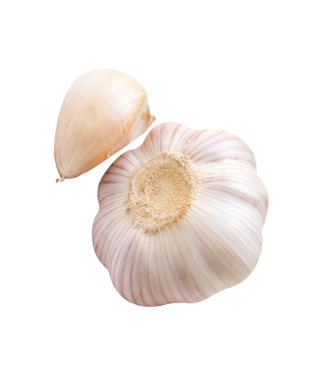 Soyulmamış bir sarımsak ampulü ve bir sarımsak karanfili üst görünüm kümesi png dosya biçiminde kırpma yolu ile izole edilir.