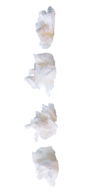 vida veya buruşmuş beyaz doku kağıt topları yan görünüm seti png dosya biçiminde kırpma yolu ile izole edilir.