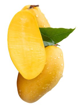 İki olgun sarı mango meyvesi ve yarım yeşil yapraklı ve yığın halinde su damlacıkları kesme yolu ile beyaz arka planda izole edilir..