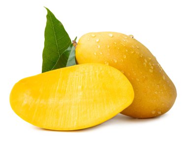 Tek olgun mango meyvesi ve yarısı yeşil yapraklı ve su damlacıkları beyaz arka planda kırpma yolu ile izole edilir..