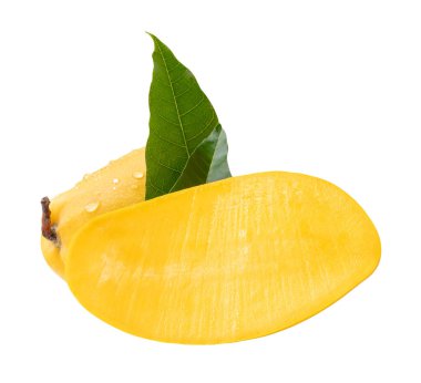 Tek olgun mango meyvesi ve yarısı yeşil yapraklı ve su damlacıkları beyaz arka planda kırpma yolu ile izole edilir..