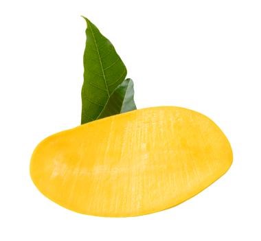 Yeşil mango yapraklı olgun sarı mango meyvesinin yarısı png dosya biçiminde kırpma yolu ile izole edilmiştir.