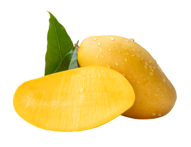 Tek olgun mango meyvesi ve yarısı yeşil yapraklı ve su damlacıkları png dosya biçiminde kırpma yolu ile izole edilir.