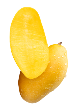 Tek olgun sarı mango meyvesi ve içinde su damlacıkları olan yarısı png dosya biçiminde kırpma yolu ile izole edilir.