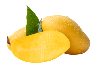 İki olgun sarı mango meyvesi ve yarım yeşil yapraklı ve yığın halinde su damlacıkları png dosya biçiminde kırpma yolu ile izole edilir.