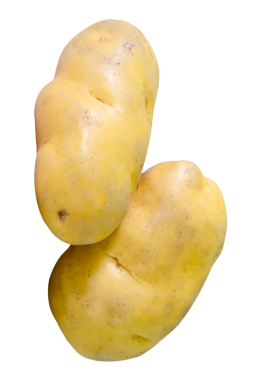 Yığındaki iki patates soğanı png dosya biçiminde kırpma yolu ile izole edilir.