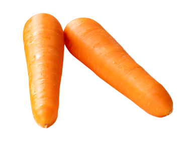 Yığındaki iki taze turuncu havuç kökünün yan görünümü png dosya biçiminde kırpma yolu ile izole edilmiştir.