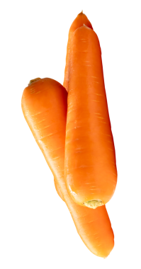 Yığındaki üç taze turuncu havuç kökünün yan görünümü png dosya biçiminde kırpma yolu ile izole edilmiştir.