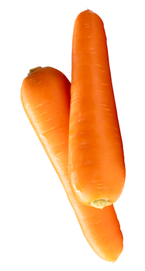 Yığındaki iki taze turuncu havuç kökünün yan görünümü png dosya biçiminde kırpma yolu ile izole edilmiştir.