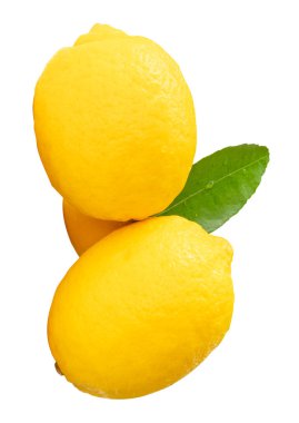 Yeşil limon yaprağıyla olgun sarı limon meyveleri ve yığın halinde damlacıklar kesme yolu ile beyaz arka planda izole edilir.